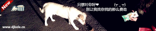 lovedog