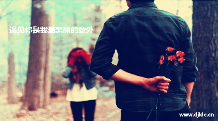 美丽的小图